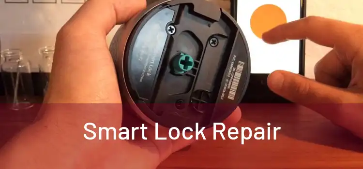 Smart Lock Repair